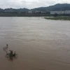 Lúc 13 giờ ngày 25/8, Trạm thủy văn Lào Cai ghi nhận được mực nước sông Hồng lên tới 79,66m (dưới báo động 1 là 0,34m). (Ảnh: Hương Thu/TTXVN)