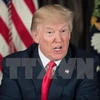 Tổng thống Mỹ Donald Trump. (Nguồn: AFP/TTXVN)