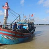 Tàu cá gặp nạn được đưa về cảng cá Lạch Hới. (Ảnh: Hoa Mai/Vietnam+)