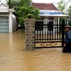 Nhiều tuyến đường và nhà dân ở Phú Yên bị ngập do nước lũ ngày 1/11. (Ảnh: Thế Lập/TTXVN)