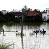 Cảnh ngập lụt ở Phú Yên. (Ảnh: Thế Lập/TTXVN)