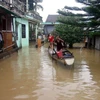 Nhiều nhà dân bị ngập do bão số 12. (Ảnh: Trịnh Bang Nhiệm/TTXVN)