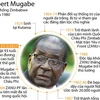 Những thông tin cơ bản về Tổng thống Zimbabwe Mugabe.