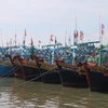 Tàu thuyền được chằng buộc neo đậu trên sông Cà Ty-Phan Thiết, Bình Thuận. (Ảnh: Nguyễn Thanh/TTXVN)
