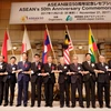 Đại sứ các nước ASEAN và Nhật Bản bắt tay. (Ảnh: Hồng Hà/Vietnam+)