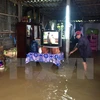 Cảnh ngập lụt tại Quảng Điền, Thừa Thiên-Huế. (Ảnh: TTXVN)