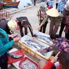 Hoạt động mua bán hải sản ở cảng cá Cửa Sót, xã Thạc Kim, huyện Lộc Hà, Hà Tĩnh. (Ảnh: Quang Quyết/TTXVN)