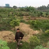 Hà Nội: Nguy cơ phá hủy di chỉ khảo cổ học Vườn Chuối ở Hoài Đức