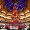 Trang trí cây thông Noel đón Giáng Sinh tại Paris, Pháp. (Nguồn: AFP/TTXVN)
