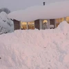 Tuyết rơi dày ở Erie. (Nguồn: Accuweather.com)