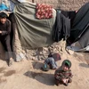 Người dân Afghanistan mất nhà cửa trong các cuộc xung đột sống trong những khu lều tạm ở tỉnh Herat ngày 19/1.(Nguồn: EPA/TTXVN)