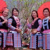 Người con gái Mông trong trang phục truyền thống bên hoa đào. (Ảnh: Diệp Anh/TTXVN)