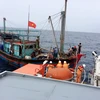 Tàu cá NA 90909 cùng 8 thuyền viên được đưa vào cảng Cửa Lò an toàn. (Ảnh: Tá Chuyên/TTXVN)