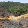 Hàng chục hecta rừng Đắk Nông bị tàn phá, đốt trụi. (Ảnh minh họa. Nguồn: TTXVN)