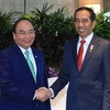 Thủ tướng Nguyễn Xuân Phúc hội kiến Tổng thống Indonesia Joko Widodo. (Ảnh: Thống Nhất/TTXVN)