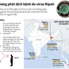 [Infographics] Các đợt bùng phát dịch bệnh do virus Nipah