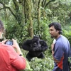 Du khách tại Công viên thú hoang dã Virunga. (Nguồn: Africanews)