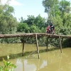 Một cây cầu tạm ở xã Hải Quy, huyện Hải Lăng, tỉnh Quảng Trị. (Ảnh: Thanh Thủy/TTXVN)