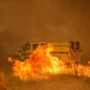 Cháy rừng dữ dội tại Clearlake Oaks, California, Mỹ ngày 1/7. (Ảnh: AFP/TTXVN)