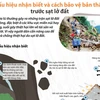 [Infographics] Dấu hiệu sắp xảy ra sạt lở đất và cách bảo vệ bản thân