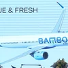 Bộ nhận diện thương hiệu của hãng hàng không Bamboo Airways (Tre Việt). (Ảnh: Việt Hùng/Vietnam+)