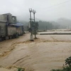 Mưa liên tục gây ngập lụt tại xã Song Khủa, huyện Vân Hồ, tỉnh Sơn La. (Ảnh: TTXVN phát)