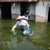 Nước bẩn tiềm ẩn nguy cơ dịch bệnh trong mùa mưa lũ. (Nguồn: TTXVN)