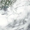 Hình ảnh vệ tinh về vị trí của bão Bebinca. (Nguồn: NASA/NOAA Worldview)