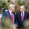 Tổng thống Mỹ Trump và người đồng cấp Thổ Nhĩ Kỳ Erdogan. (Nguồn: EPA)
