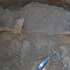 Hóa thạch của thú răng chạm được phát hiện tại Carmelo. (Nguồn: MEC)