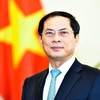 Thứ trưởng thường trực Bộ Ngoại giao, Trưởng Ban Tổ chức Hội nghị WEF ASEAN 2018 Bùi Thanh Sơn. (Nguồn: TTXVN)