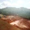 Hàng trăm mét vuông đất rừng tại hồ Đan Kia-Suối vàng, huyện Lạc Dương (Lâm Đồng) đang bị san ủi trái phép để lấy đất sản xuất. (Ảnh: Đặng Tuấn/TTXVN)