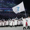 Đoàn vận động viên hai miền Triều Tiên cùng diễu hành chung dưới lá cờ mang hình một bán đảo Triều Tiên thống nhất tại lễ khai mạc Olympic PyeongChang 2018. (Nguồn: Yonhap/ TTXVN)