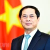 Ủy viên Trung ương Đảng, Thứ trưởng Thường trực Bộ Ngoại giao Bùi Thanh Sơn. (Nguồn: TTXVN)