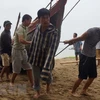 Người dân Thanh Hóa kéo tàu thuyền lên bờ tránh bão số 10. (Ảnh: Trịnh Duy Hưng/TTXVN)