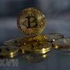 Đồng Bitcoin. (Ảnh: AFP/TTXVN)