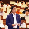 Đại biểu Quốc hội Thành phố Hà Nội Ngọ Duy Hiểu phát biểu. (Ảnh: Nguyễn Dân/TTXVN)