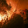 Các đám cháy rừng lan rộng ở Malibu, California.