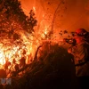 Nhân viên cứu hỏa nỗ lực khống chế các đám cháy rừng ở Malibu, California. (Ảnh: THX/TTXVN)