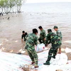 Các chiến sỹ sử dụng bao cát để gia cố chân đê biển Gò Công. (Ảnh: Nam Thái/TTXVN)