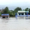 Nhiều nhà cửa của người dân xã Phước Nam, huyện Thuận Nam bị ngập sâu trong nước lũ. (Ảnh: Công Thử/TTXVN)