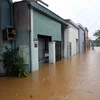 Những khu nhà ở phường Hòa Khánh Nam, quận Liên Chiểu bị ngập sâu trong nước. (Ảnh: Trần Lê Lâm/TTXVN)