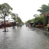 Các tuyến đường trong thành phố Tam Kỳ bị ngập sâu trong nước. (Ảnh: Trần Tĩnh/TTXVN)