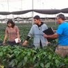 [Mega Story] Nông nghiệp công nghệ cao: Học hỏi kinh nghiệm từ Israel