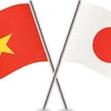 Tăng cường hợp tác giữa lực lượng không quân Việt Nam-Nhật Bản