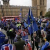 Những người ủng hộ và phản đối Brexit tuần hành bên ngoài Hạ viện Anh tại thủ đô London, ngày 15/1/2019. (Ảnh: THX/ TTXVN)