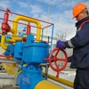 Nhân viên kiểm tra các thiết bị tại khu dự trữ khí đốt Dashava gần thị trấn Stryi, miền Tây Ukraine ngày 14/2. (Nguồn: EPA/TTXVN)