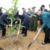 Chủ tịch Quốc hội Nguyễn Thị Kim Ngân tham gia trồng cây tại lễ phát động. (Ảnh: Trọng Đức/TTXVN)