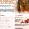 Chủ động các biện pháp phòng cháy, chữa cháy rừng.