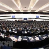 Toàn cảnh một cuộc họp Nghị viện châu Âu. (Ảnh: AFP/TTXVN)